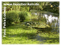 GableSee.gif (27988 Byte)