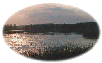 GoeteB.gif (47501 Byte)