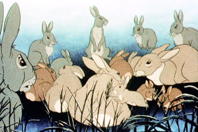 TVJL0198.jpg