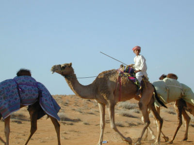 TVMZ0153.jpg