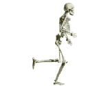 skelr1.gif (35826 Byte)