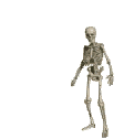 skelw.gif (75810 Byte)